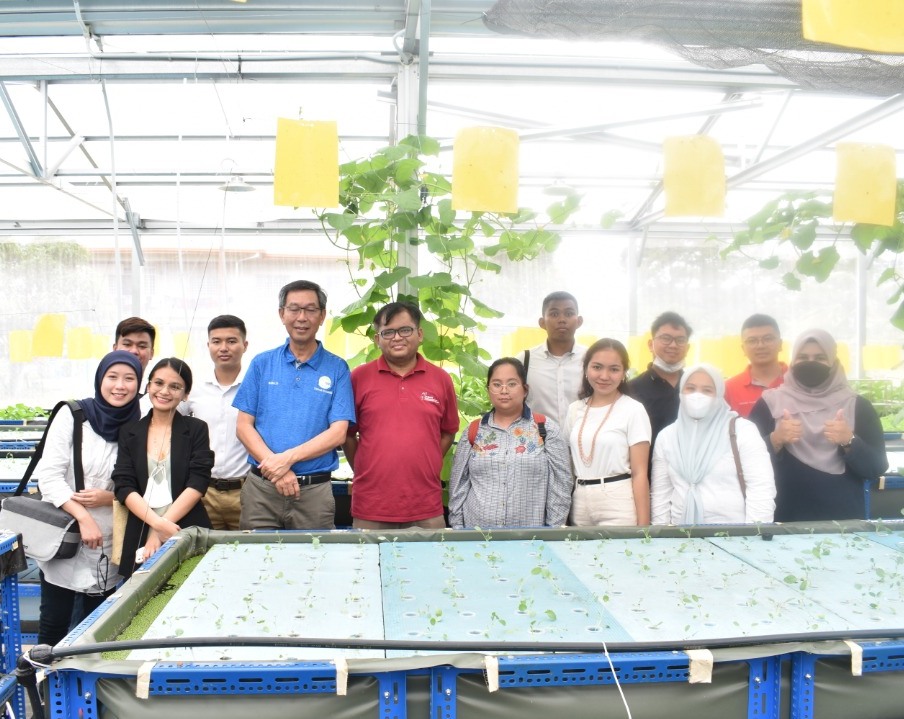 Read more about the article Urban Farmer, Cyber City